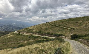 Venta terreno Cochasquí, 60ha para sembrar Flores, Sábila...