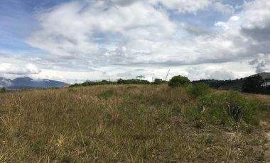 Venta terreno Cochasquí, 60ha para sembrar Flores, Sábila...