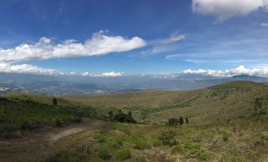 Venta terreno Cochasquí, 60ha para sembrar Flores, Sábila...
