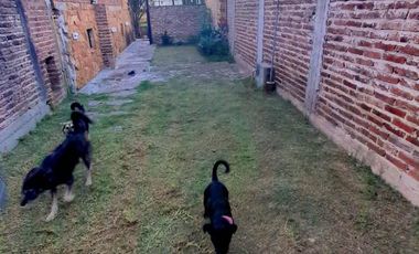 Casa a 2 cuadras de Avenida Calchaqui