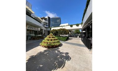 Local comercial Paseo Chapultepec 100 mts