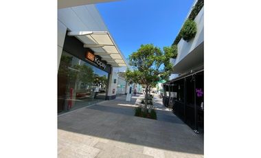 Local comercial Paseo Chapultepec 100 mts