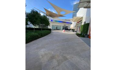 Local comercial Paseo Chapultepec 100 mts