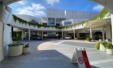 Local comercial Paseo Chapultepec 100 mts