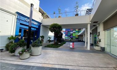 Local comercial Paseo Chapultepec 100 mts