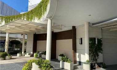 Local comercial Paseo Chapultepec 100 mts