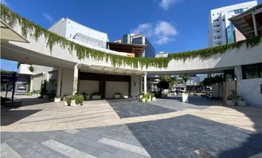 Local comercial Paseo Chapultepec 100 mts