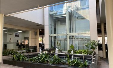 Local comercial Paseo Chapultepec 100 mts