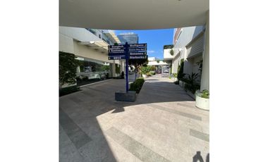 Local comercial Paseo Chapultepec 100 mts