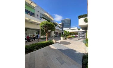 Local comercial Paseo Chapultepec 100 mts