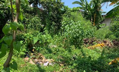 Tanah di Tinggar Ampenan dekat jalan Adisucipto