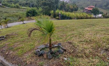 Venta finca de trabajo con dos casas en Marinilla, ,Antioqua