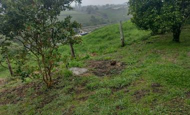 Venta finca de trabajo con dos casas en Marinilla, ,Antioqua