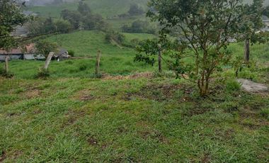 Venta finca de trabajo con dos casas en Marinilla, ,Antioqua