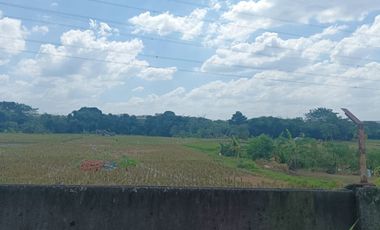 Sewa Pabrik 5000 meter Halaman Luas dekat Pintu Tol Japek 2 Karawang