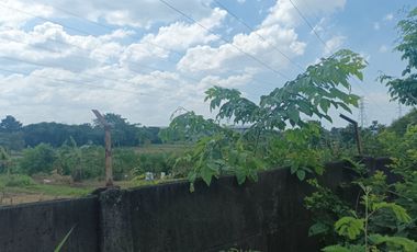 Sewa Pabrik 5000 meter Halaman Luas dekat Pintu Tol Japek 2 Karawang