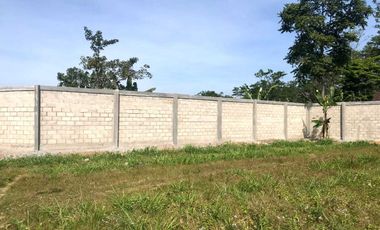 Tanah trawas cck untuk villa nol jalan menuju padepokan cahaya putra