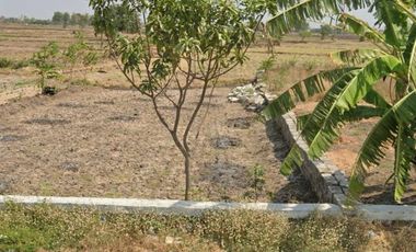 Raya balongpanggang gresik cck untuk usaha