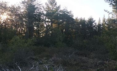 Parcela en Venta en CHALLUPEN