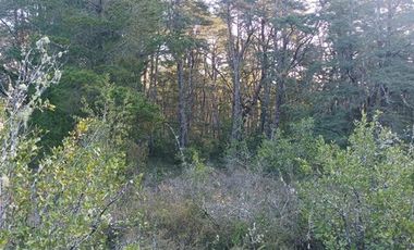 Parcela en Venta en CHALLUPEN