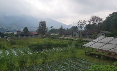 Villa Cisarua Lembang SHM view bagus cantik siap huni