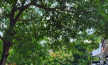 (Hook) Rumah Strategis, Sejuk & Asri  di Taman Sentosa Lippo Cikarang