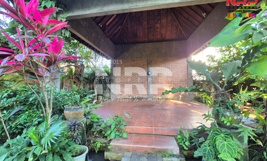 Dijual Rumah Semi Vila di Jalan Utama Menuju Kawah Ijen Banyuwangi