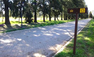 Terreno - Pueblo Esther