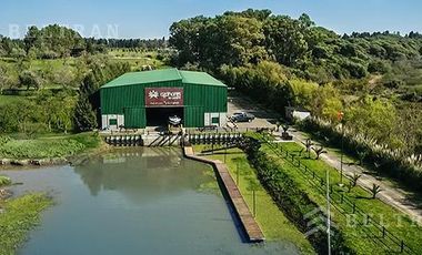 Terreno - Pueblo Esther