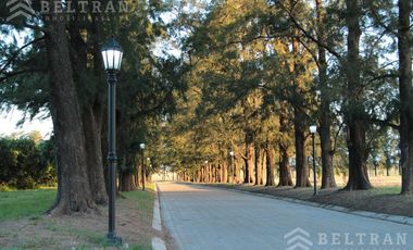 Terreno - Pueblo Esther