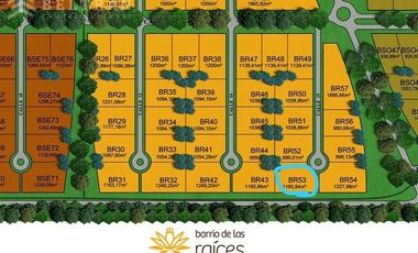 Terreno - Pueblo Esther