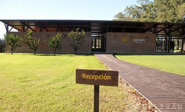 Terreno - Pueblo Esther