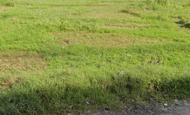 Disewakan - Tanah 35,5 Are di Jalan Utama Pantai Nyanyi