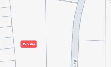 Disewakan - Tanah 35,5 Are di Jalan Utama Pantai Nyanyi