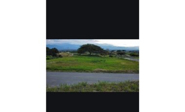 VENDO LOTE ENTRE CERRITOS Y CARTAGO