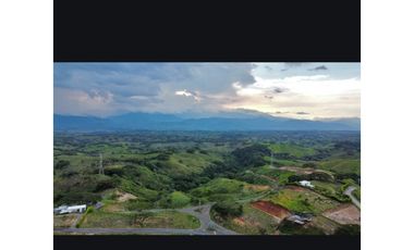 VENDO LOTE ENTRE CERRITOS Y CARTAGO