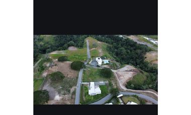 VENDO LOTE ENTRE CERRITOS Y CARTAGO