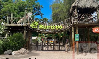 Oportunidad en Buin: casa 3D/2B con patio y bodega