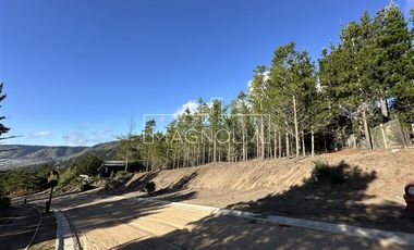 Sitio en Venta en Punta Sur Puertecillo