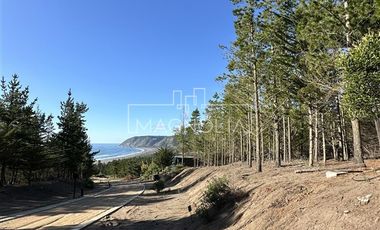 Sitio en Venta en Punta Sur Puertecillo