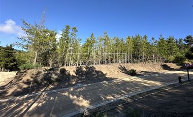 Sitio en Venta en Punta Sur Puertecillo