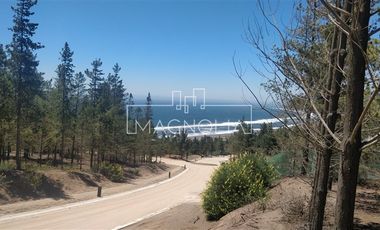 Sitio en Venta en Punta Sur Puertecillo