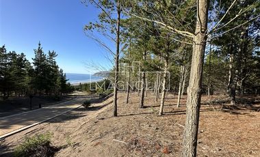 Parcela en Venta en Punta Sur Puertecillo