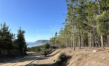 Parcela en Venta en Punta Sur Puertecillo