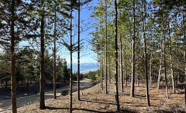 Parcela en Venta en Punta Sur Puertecillo