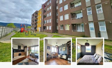 Departamento 8 Oriente Chiguayante