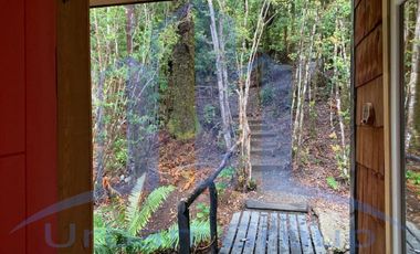 OPORTUNIDAD DE INVERSION - ORILLA DE LAGO HUILLINCO - PRECIOSA - RUSTICA