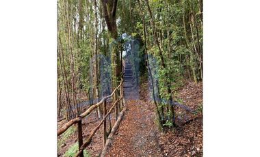 OPORTUNIDAD DE INVERSION - ORILLA DE LAGO HUILLINCO - PRECIOSA - RUSTICA