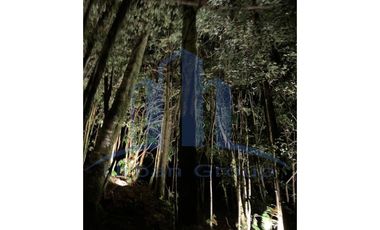 OPORTUNIDAD DE INVERSION - ORILLA DE LAGO HUILLINCO - PRECIOSA - RUSTICA