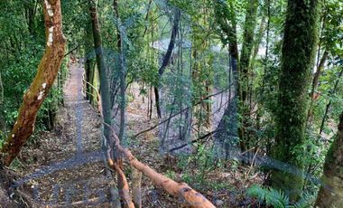OPORTUNIDAD DE INVERSION - ORILLA DE LAGO HUILLINCO - PRECIOSA - RUSTICA